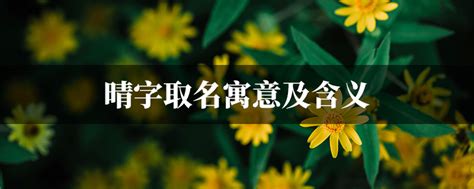 晴的名字|晴字取名的寓意